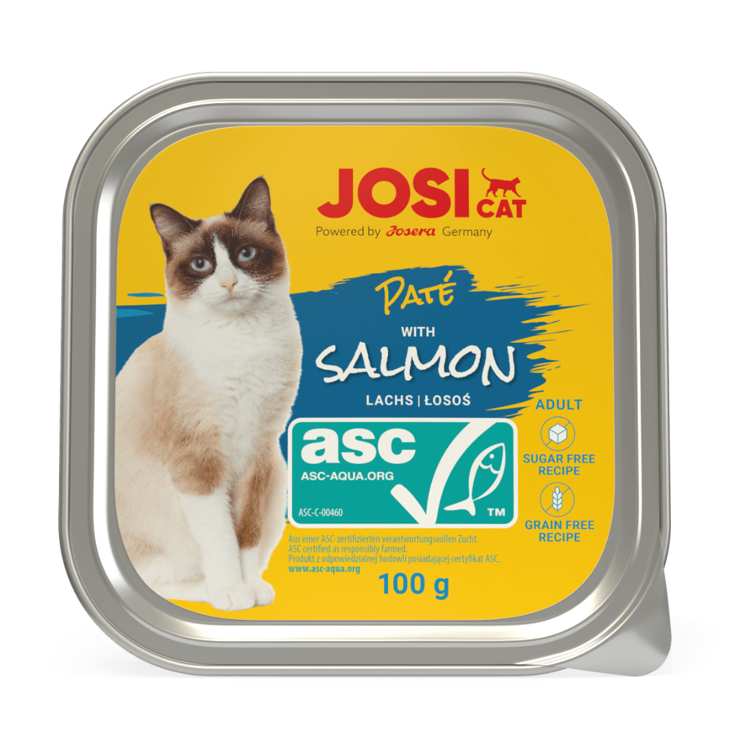 Josicat pate lõhega  32x100g