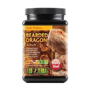 Exo Terra Bearded Dragon sööt täiskasvanud sisalikele, 250 g