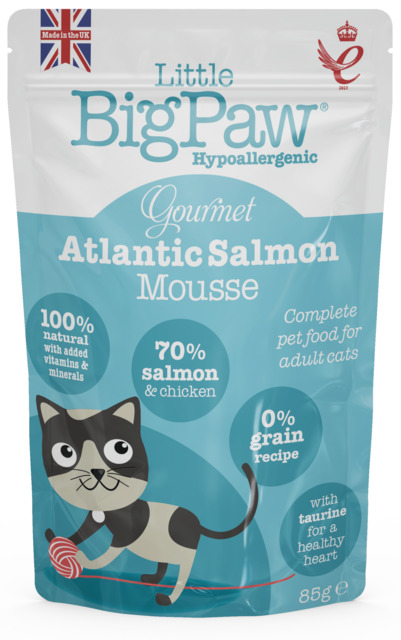 Little Bigpaw kassi einekotike Mousse lõhega 85 g