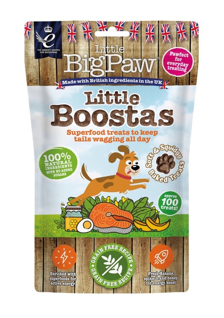 Little Bigpaw koera maius Superfood lõhega 90 g