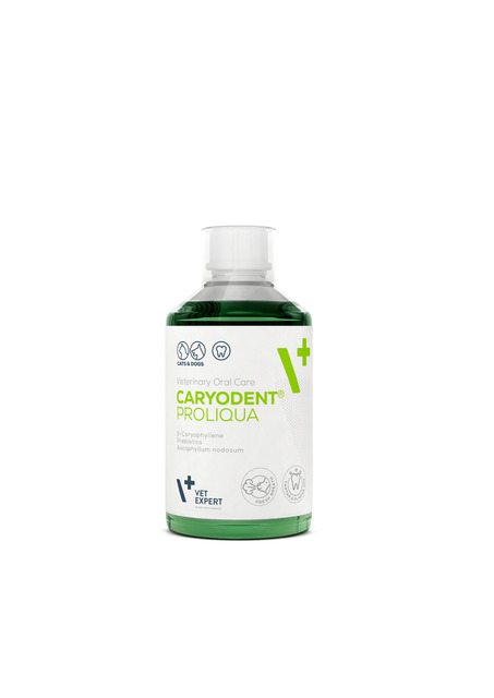 VETEXPERT JOOGIVEELISAND KOERTELE CARYODENT PROLIQUA 250ML