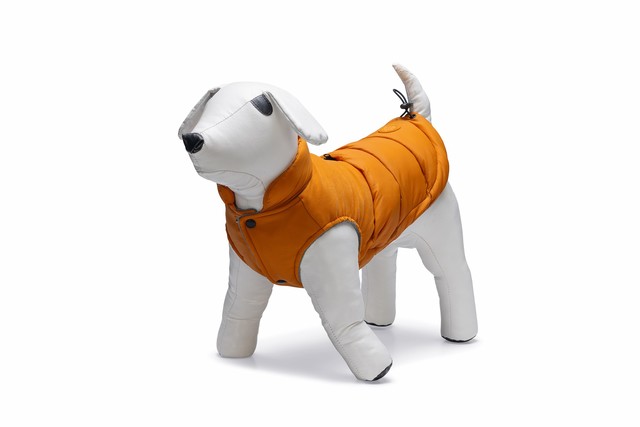 Beeztees koera jope Wisti 24 oranž