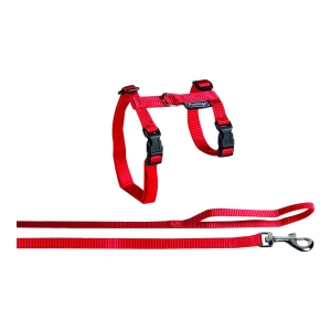 FLMG trakside ja jalutusrihma komplekt kassidele "Ela Big Cat" 35-56cm/120cm/12mm