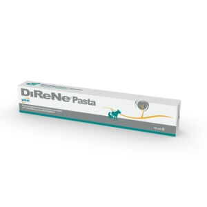 DRN Direne pasta 15ml (neerupuudulikkus)